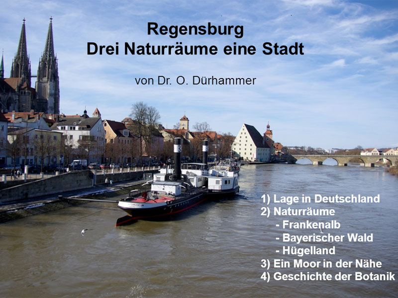 Naturräume um Regensburg